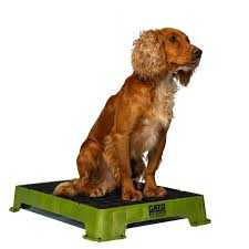 Cato Board Dog Training Platform - 16" x 24"