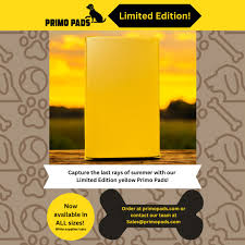 Primo Pad - Ruff Land Large