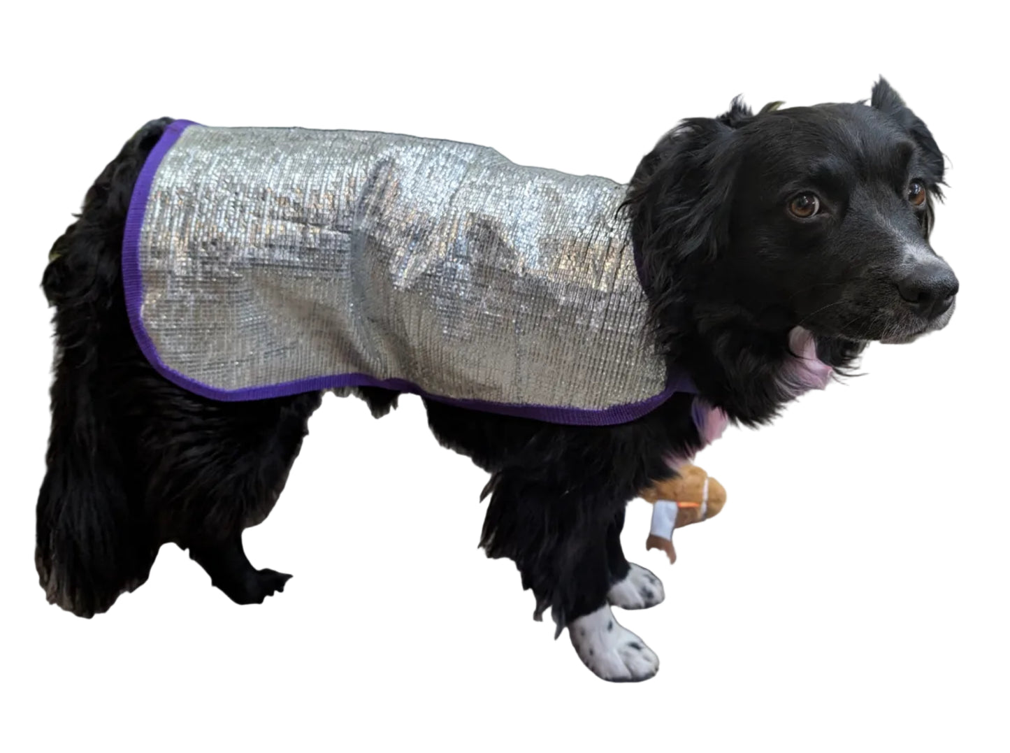 Barks Brand Aluminet Dog Cooling Coat - Made To Order - Various Sizes